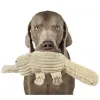Nobby® Hunde Spielzeug Plüsch Schnabeltier Beige 44 cm