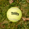 Nobby® Hunde Tennisball mit Squeaker S 5,5 cm, 3er Netz