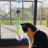 Nobby® Katzenspielzeug Ventosa mit Catnip 45 cm