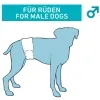 Nobby® Hunde Windeln für Rüden S-M 30-46 cm - 12 Stück