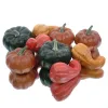 POSIWIO Kürbis 9er Set bunt Styropor, 4xD4,5xH8,5cm/3xD7xH6cm/2xD8xH6,5cm
