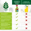 PROTECT GARDEN Curamat Plus Universal-Pilzfrei AF anwendungsfertig - 500 ml x 3