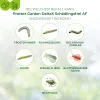 PROTECT GARDEN DeltaX Schädlingsfrei AF anwendungsfertig - 1 Liter x 2