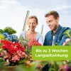 PROTECT GARDEN Lizetan® AZ Schädlingsfrei Konzentrat für bis zu 10 Liter - 30 ml