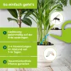 PROTECT GARDEN Lizetan® AZ Trauermückenfrei 75 ml für 15 Liter Gießwasser