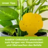PROTECT GARDEN Lizetan® AZ Trauermückenfrei 75 ml für 15 Liter Gießwasser