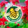 PROTECT GARDEN Lizetan® AZ Trauermückenfrei 75 ml für 15 Liter Gießwasser