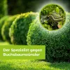 PROTECT GARDEN Lizetan® Buchsbaumzünslerfrei AF anwendungsfertig - 1 Liter