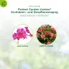 PROTECT GARDEN Lizetan® Orchideen- und Zierpflanzenspray - 400 ml