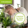 PROTECT GARDEN Lizetan Plus Schädlingsfrei - 2 x 4 ml