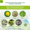 PROTECT GARDEN Permaclean Duo Unkaut & Wurzel-Ex 1.000 ml x 3