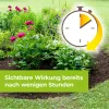PROTECT GARDEN Permaclean Duo Unkaut & Wurzel-Ex 500 ml x 5
