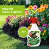 PROTECT GARDEN Permaclean Express Unkrautfrei AF 1 Liter