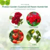 PROTECT GARDEN Rosen Kombi-Set Konzentrat - 15 ml + 2 x 4 ml