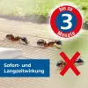 PROTECT HOME FormineX Ameisenspray - 400 ml x 2