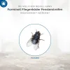 PROTECT HOME FormineX Fliegenköder Fensterstreifen - 12 Stück