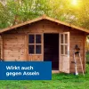 PROTECT HOME FormineX Ungeziefer & Ameisen Spezialspray anwendungsfertig - 1 Liter x 5
