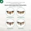 PROTECT HOME Nahrungsmittel-Mottenfalle - 3 Klebefallen