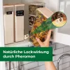 PROTECT HOME Nahrungsmittel-Mottenfalle - 3 Klebefallen