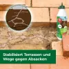 PROTECT HOME Soilic® Ameisen Nestverschluss - 750 ml