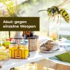 PROTECT HOME Wespen Akut Spray 3-in-1 400 ml