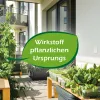 PROTECT HOME Wespennest Blocker 400 ml
