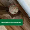 PROTECT HOME Wespennest Blocker 400 ml