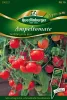 Quedlinburger Ampeltomate Tumbling Tom Red - Gemüsesamen