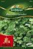 Quedlinburger Blattkoriander Cilantro - Premium Kräutersamen