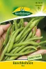 Quedlinburger Buschbohnen Maxi - Gemüsesamen