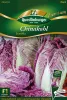 Quedlinburger Chinakohl Scarvita - Gemüsesamen