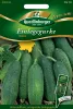 Quedlinburger Einlegegurke Hokus - Gemüsesamen