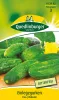 Quedlinburger Einlegegurken Eva - Gemüsesamen