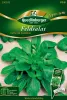 Quedlinburger Feldsalat Verte de Cambrai - Premium Gemüsesamen