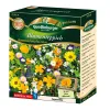 Quedlinburger FS Blumenteppich - Blumensamen