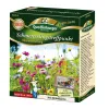 Quedlinburger FS Schmetterlingstreffpunkt - Blumensamen