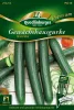 Quedlinburger Gewächshausgurke Marumba - Gemüsesamen