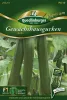 Quedlinburger Gewächshausgurken Bella - Gemüsesamen