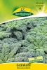Quedlinburger Grünkohl Westlandse Winter GP 5 g - Gemüsesamen