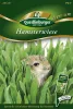 Quedlinburger Hamsterwiese - Blumensamen
