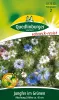 Quedlinburger Jungfer im Grünen Mischung - Blumensamen