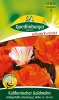 Quedlinburger Kalifornischer Goldmohn Halbgefüllte Mischung - Blumensamen