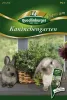 Quedlinburger Kaninchengarten - Blumensamen