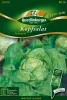 Quedlinburger Kopfsalat Dynamite - Premium Gemüsesamen