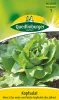 Quedlinburger Kopfsalat Mona - Gemüsesamen