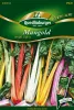Quedlinburger Mangold Bright Lights - Premium Gemüsesamen