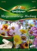 Quedlinburger Margeritenblütige Mischung Saatteppich - Premium Blumensamen