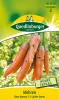 Quedlinburger Möhren Rote Riesen 2 - Gemüsesamen