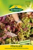 Quedlinburger Pflücksalat Amerikanischer brauner Großpackung 30 Gramm - Gemüsesamen