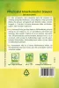 Quedlinburger Pflücksalat Amerikanischer brauner Großpackung 30 Gramm - Gemüsesamen